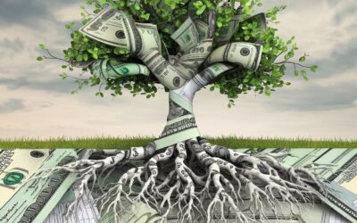 How to Build Wealth Through Tax-Efficient Investing